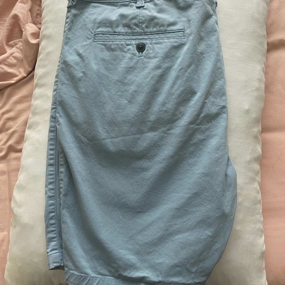 Express Light Blue Flat Front Shorts